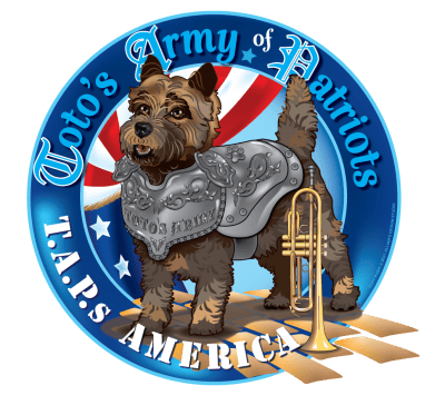 TAPS-AMERICAN-NEW-LOGO